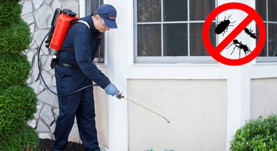 Batman Kemirgen İlaçlama böcek ilaçlama ve haşere kontrolü — ilaclama-tr.com